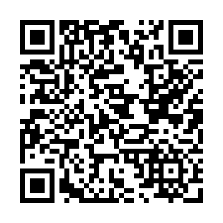 QR code for H20377