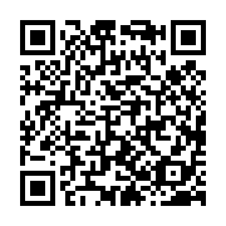 QR code for H20418