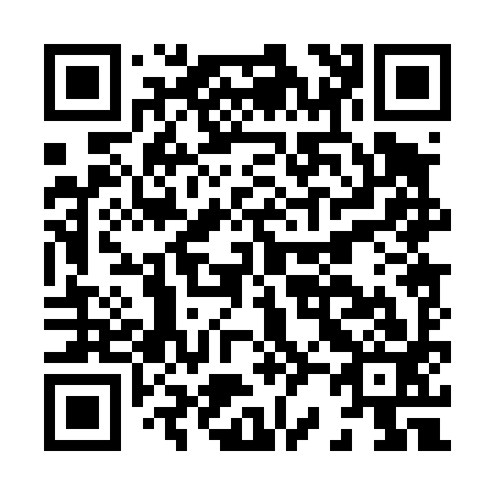 QR code for H20493