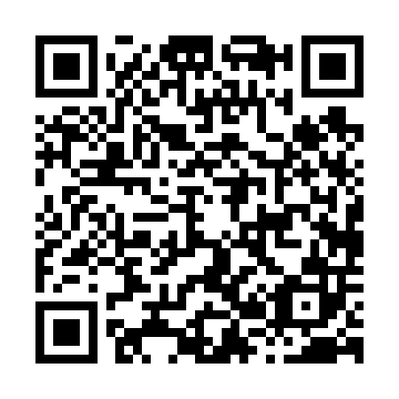 QR code for H20602