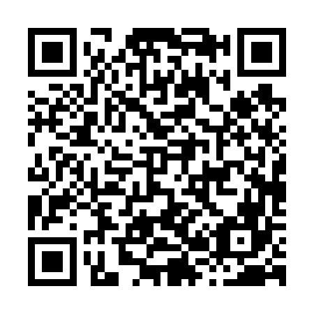 QR code for H20666