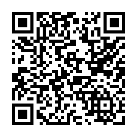 QR code for H20875