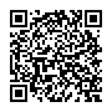 QR code for H21304