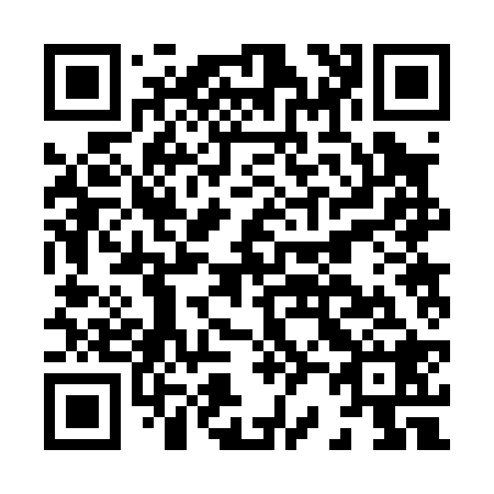 QR code for H22028
