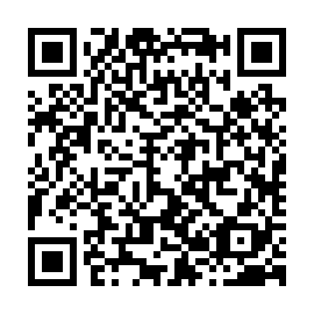 QR code for H22228