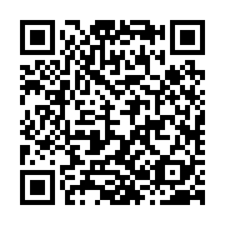 QR code for H22229