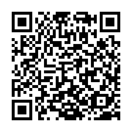 QR code for H22328