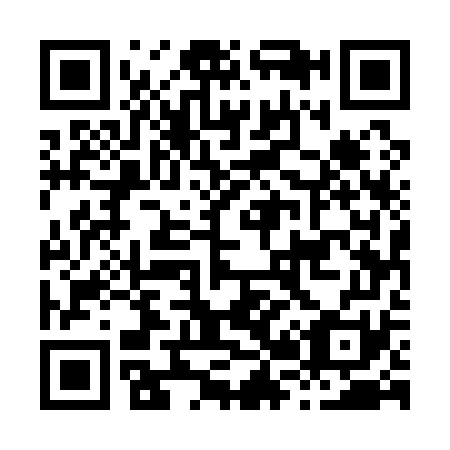 QR code for H25171