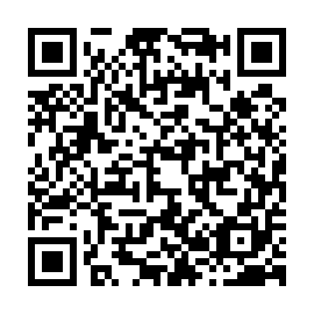 QR code for H25550