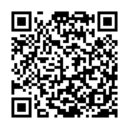 QR code for H28010