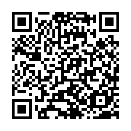 QR code for H28205
