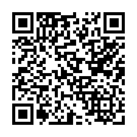 QR code for H28209