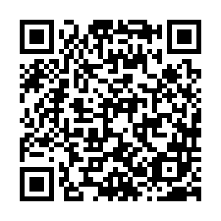 QR code for H28342
