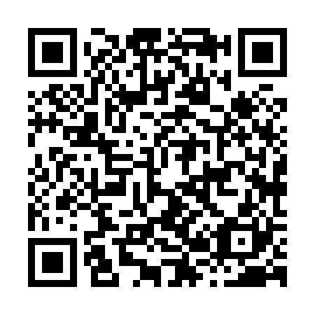 QR code for H28820