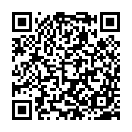 QR code for H29047