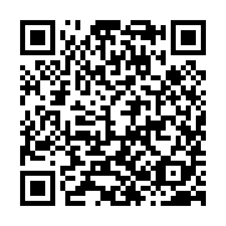 QR code for H29089