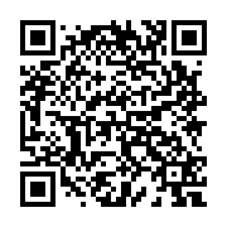 QR code for H29121