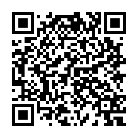 QR code for H29124