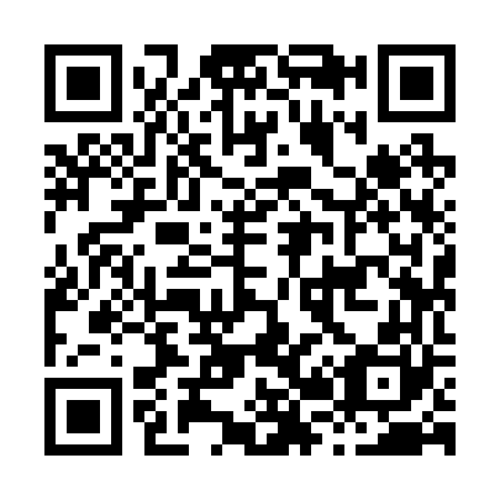 QR code for H29260