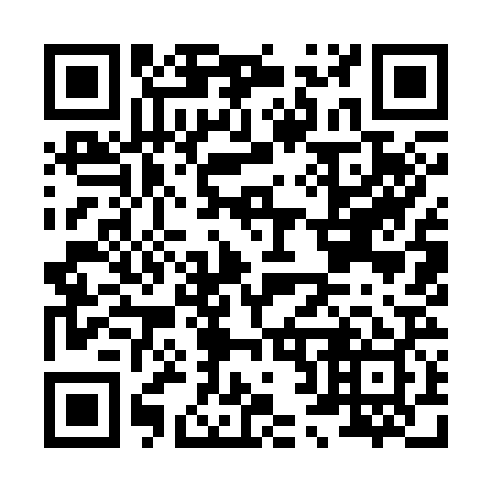 QR code for H29329