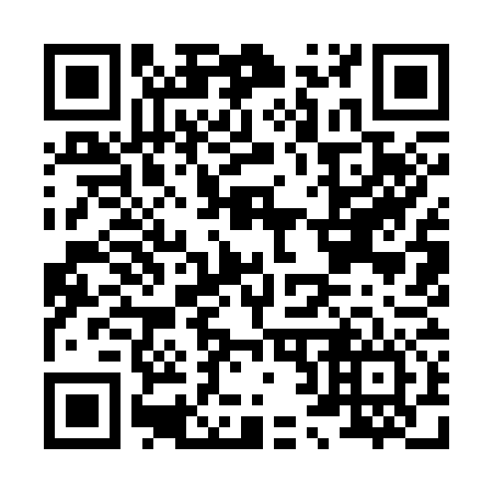 QR code for H29376