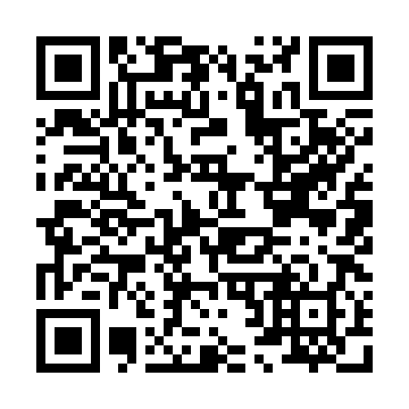 QR code for H29388