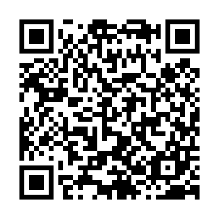 QR code for H29407