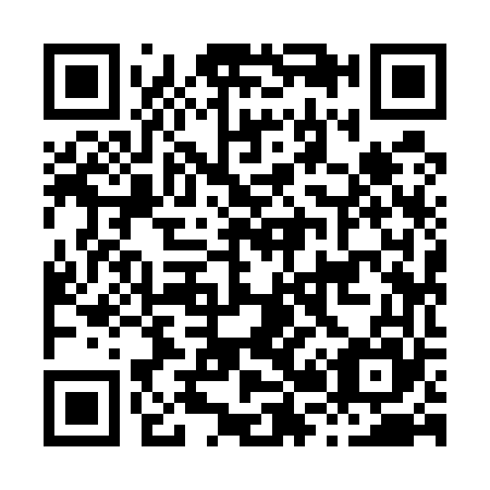 QR code for H29565