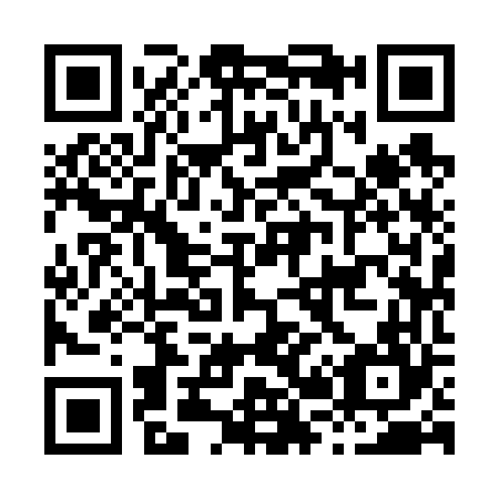 QR code for H29664