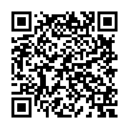 QR code for H29800