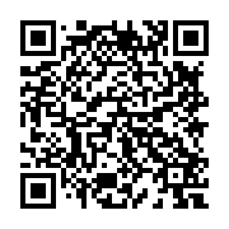 QR code for H29803