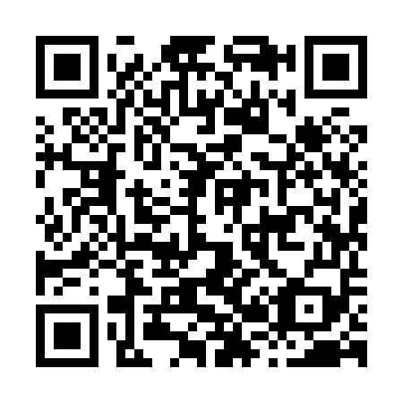 QR code for H29859