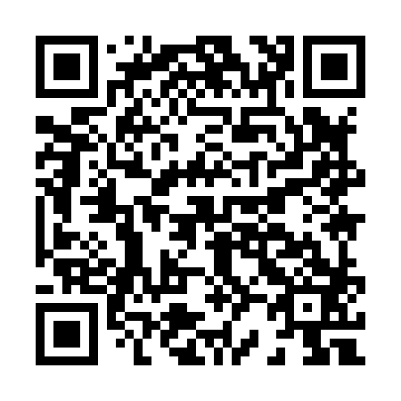 QR code for H29883