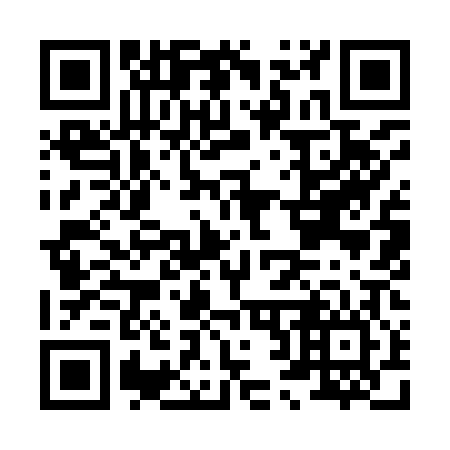 QR code for H29906