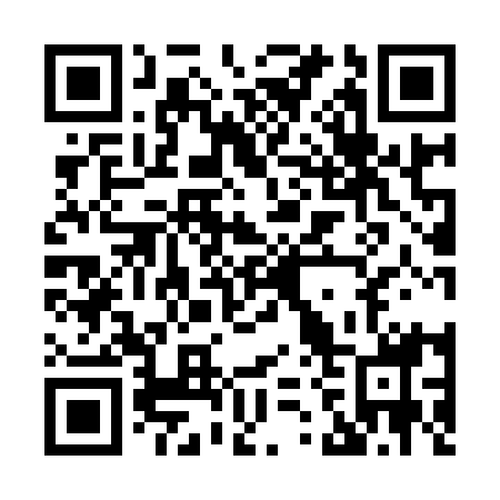 QR code for H29918