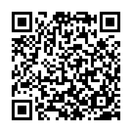 QR code for H29924