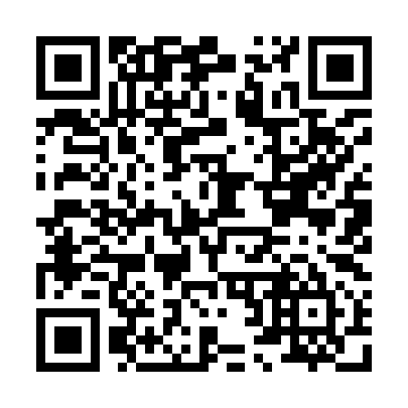 QR code for H29995