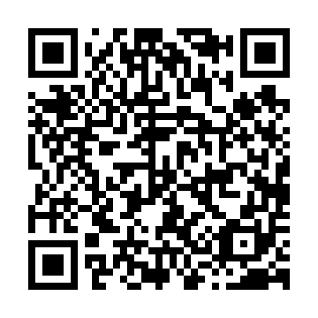 QR code for H30650