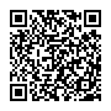 QR code for H30663