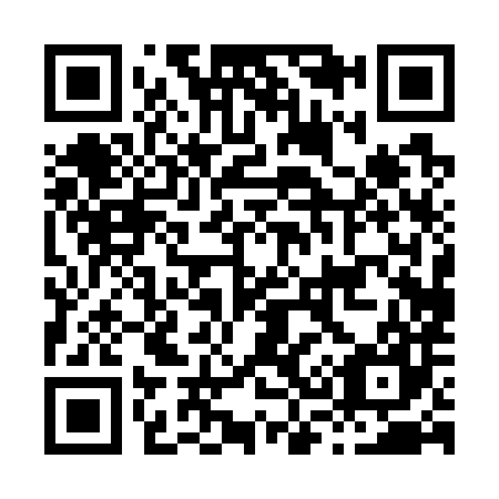 QR code for H30787
