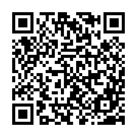 QR code for H31046