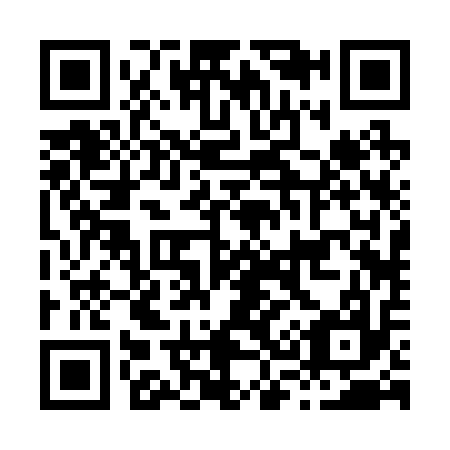 QR code for H32217