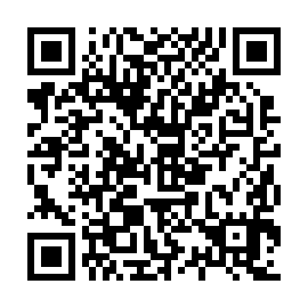 QR code for H32295