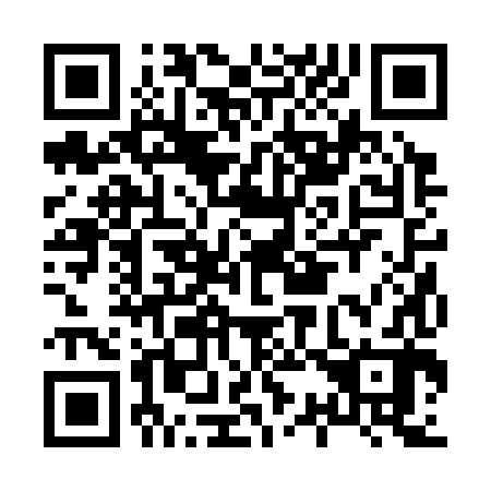 QR code for H32382