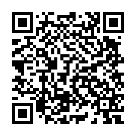 QR code for H32461