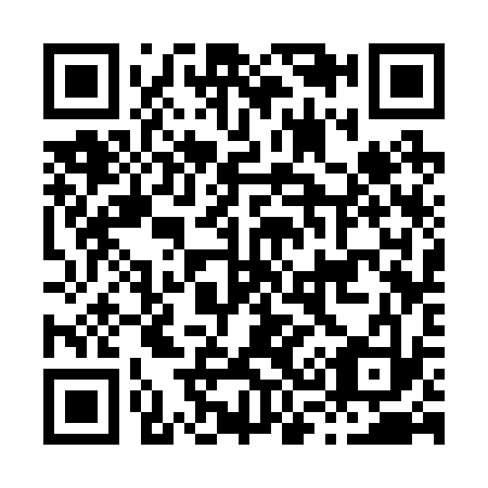 QR code for H33233