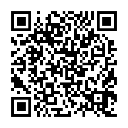 QR code for H33243