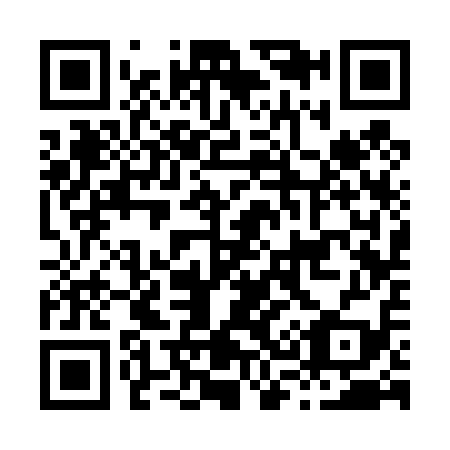 QR code for H33419
