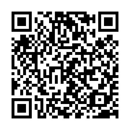 QR code for H33498