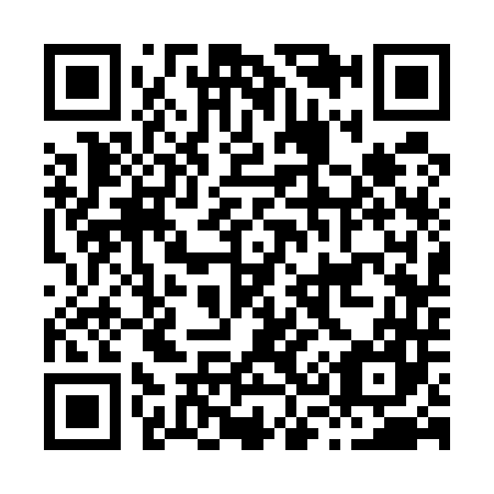 QR code for H33547